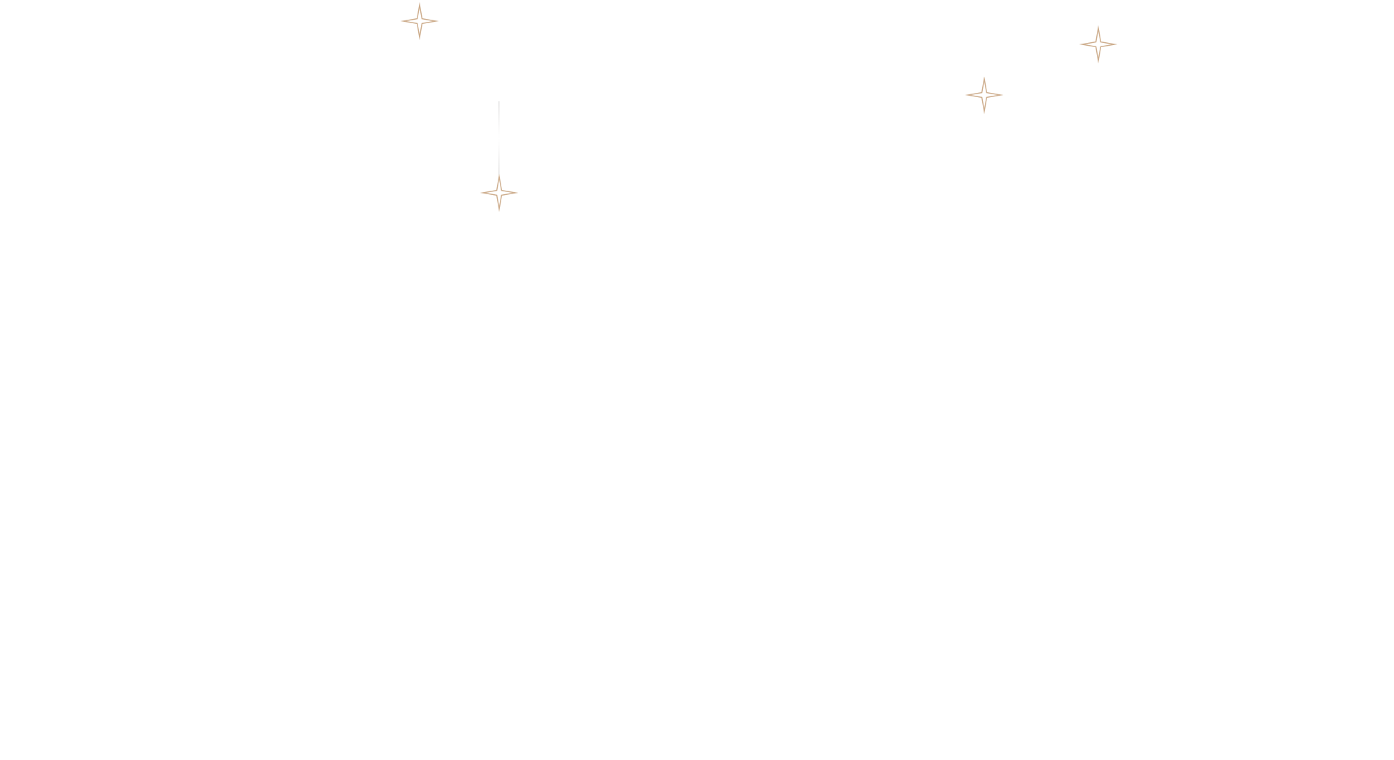 星2